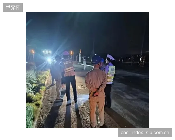 当在线熔断系统由第三方运维时，一旦发生事故，业主方与服务商的责任边界究竟在哪里？